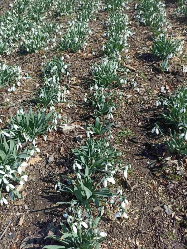 � ������� � ����-�� �������������� ����, ����� ��� � ������ �12 �������