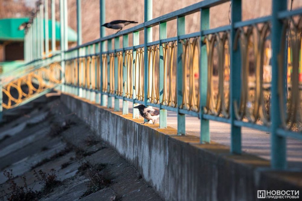 ������ � ������������� ����� ������� � �������� �� 15-18 �/� - �������������