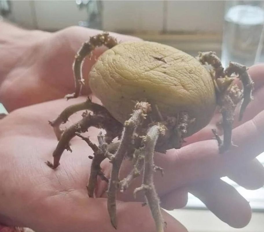 ������ ���������! ������ ����� �������� �������� ������ ���