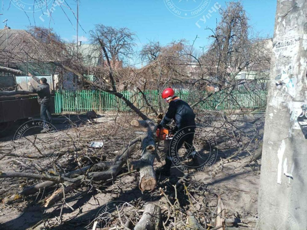 �����: ����������� ��������