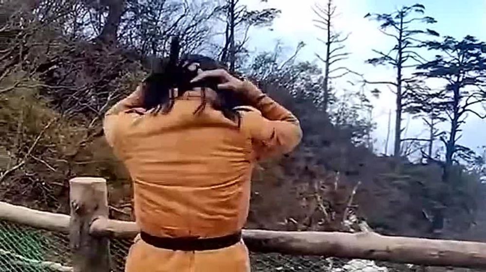 ��������� ������ ��������� ����������� �������� � ����� ����������