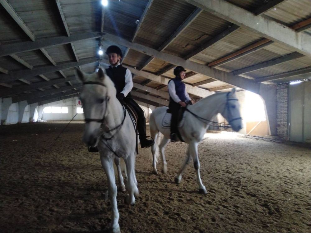 ������� ����� ������ - 20 ���