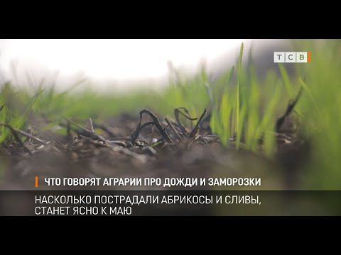 � ������������� ������ ��-�� ���������� ���������� ������ ������� � ����� �� ��������� � ������. �������� �� ���������, ������� �������, ������ ����� ����� ������� ����� � ���