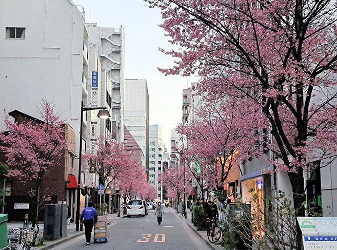 � ����� ������� ������. � ����� � ��������� ����������� �������