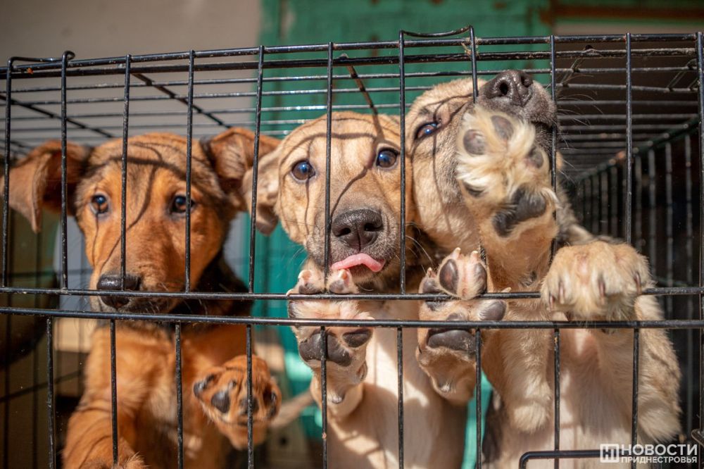 670 ����� � ����� ����� � ���������� ������ ��� ��������