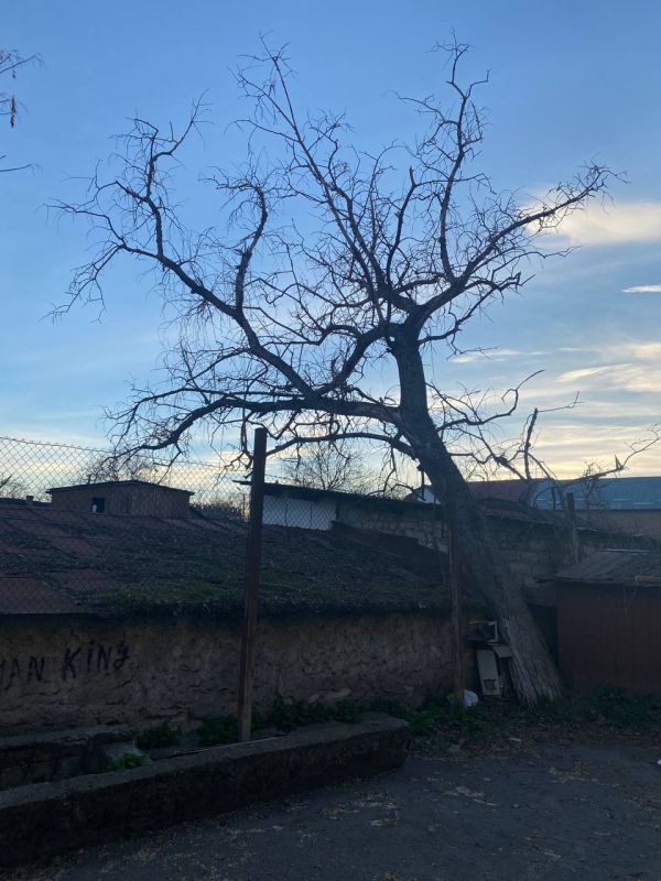 �� ������, 30 - ���������