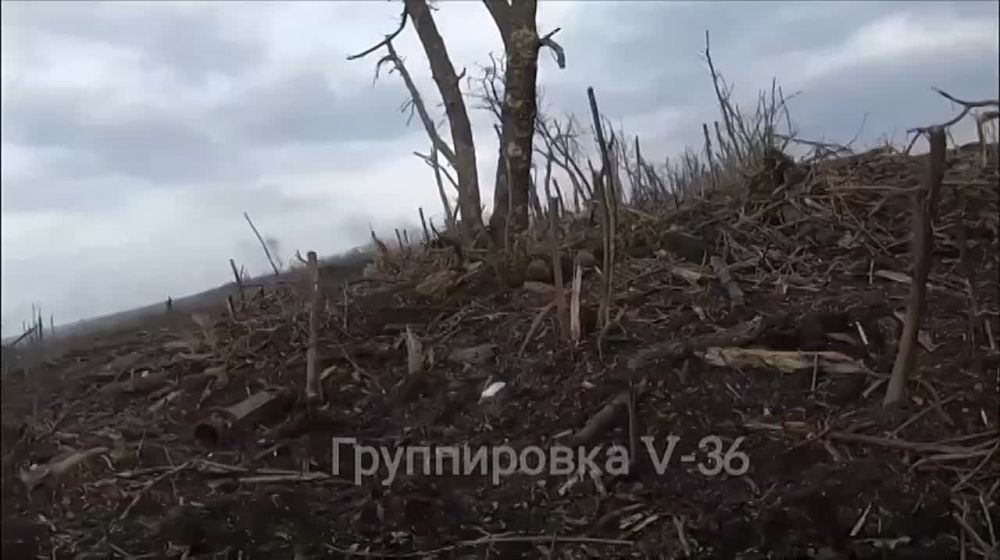 ����� ������� ��� ������� ������ "׸���� �����"