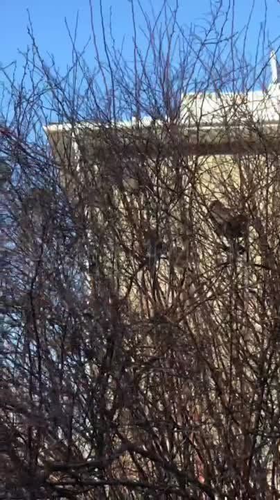 � ������������� ������ �����!