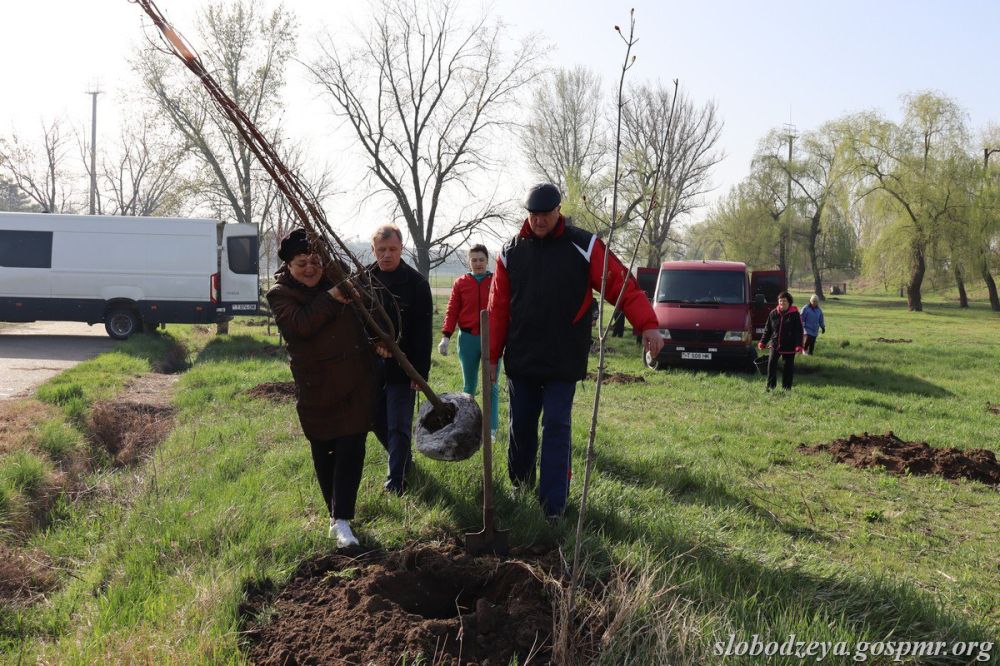 � ������������� ������ ��������� �������� �������� �� ���������������