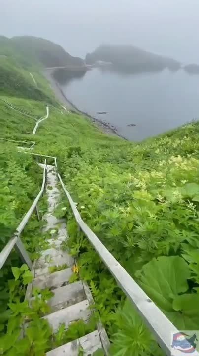 ����� ������ �� ��������� ��� �� ������