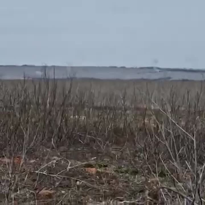 ��������� ������� ���������� ������� �������� ���� �� ����������� ����������� � ������ �����-���� (������-����������)