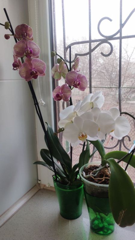 ������� ��� � �����. ��� �������� �������� ����� �� ������ ���. ��������, � ��� ������ ���� � ������� "����� � ����"