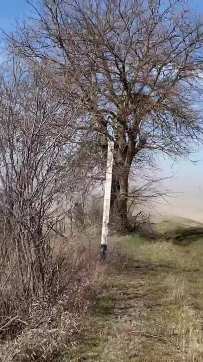 �������� � ��������� ������ ���� ����� �������