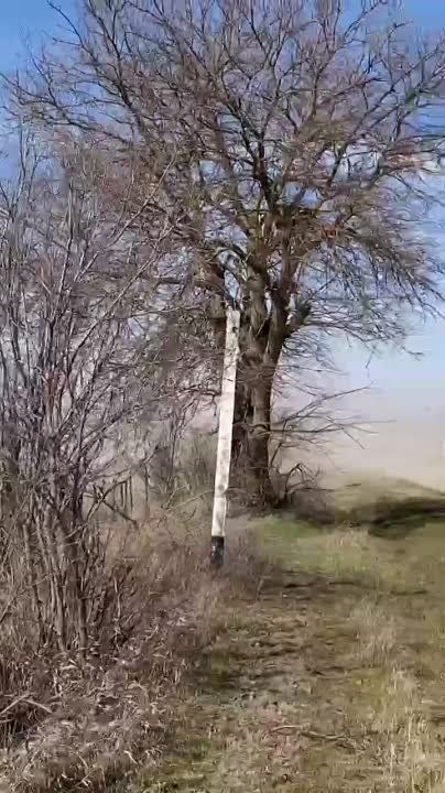 ����� ��-�� �������� ����� � ��������� ���� ���������� ������ 122 �������� �������� ��� �������������