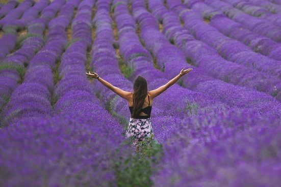 ��� 2000 ������ ������� �������� � ����������� ���������