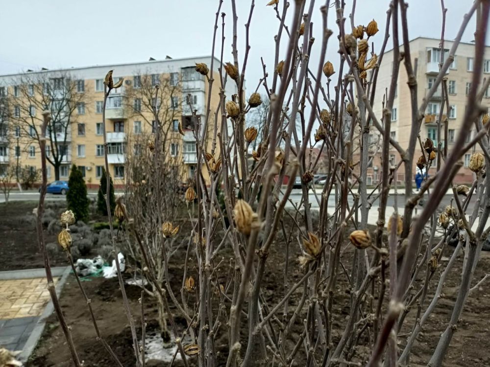 � �������� �� ������� ����� �� �������� �������� ������� ���������, �� �������� ������ ��� �������