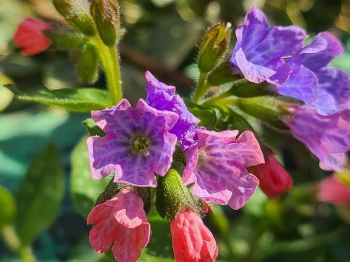 �������� ��� �����!. ���� ��������� �����������