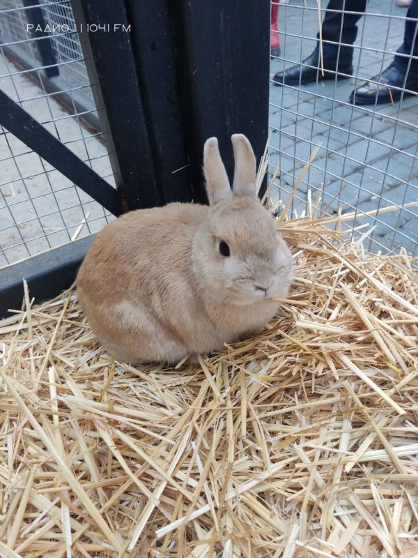 � �������� 9 ������ ������� �������� � ������� ���� � �������� ��������