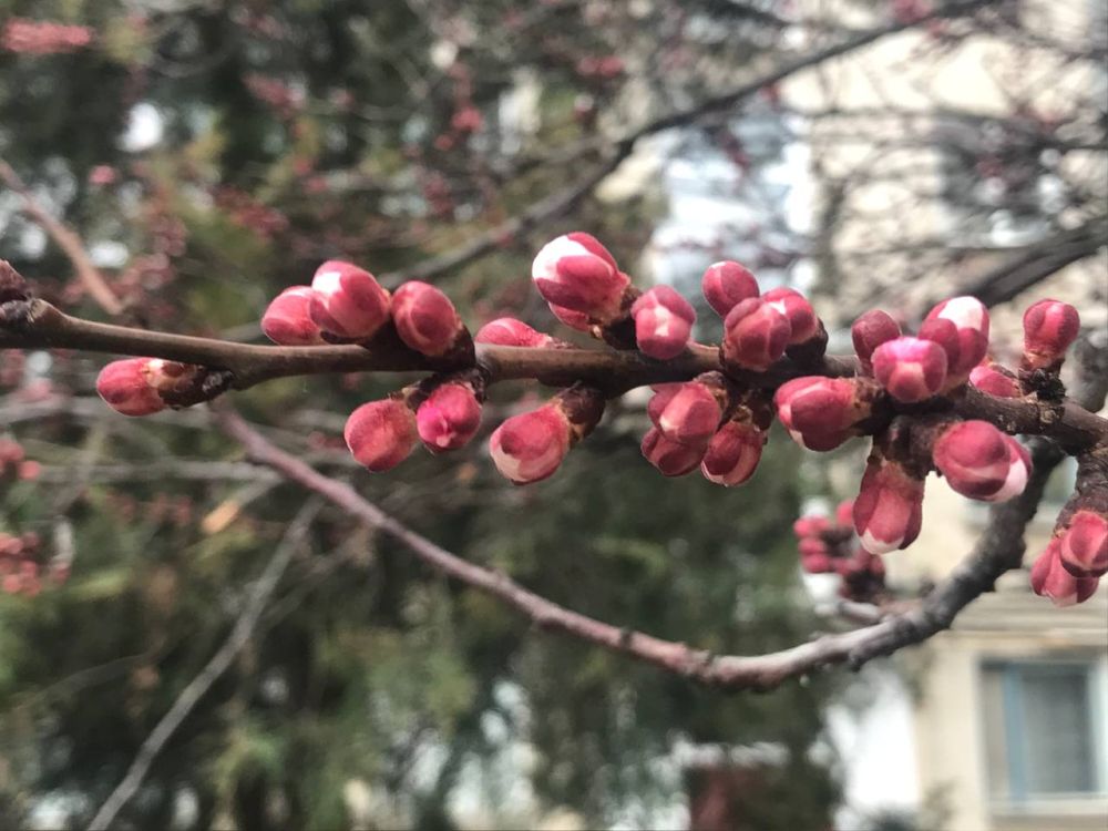 17 ����� ��������� �������� ���� � ������������ ������, ����� � ����� ������� ������ �����