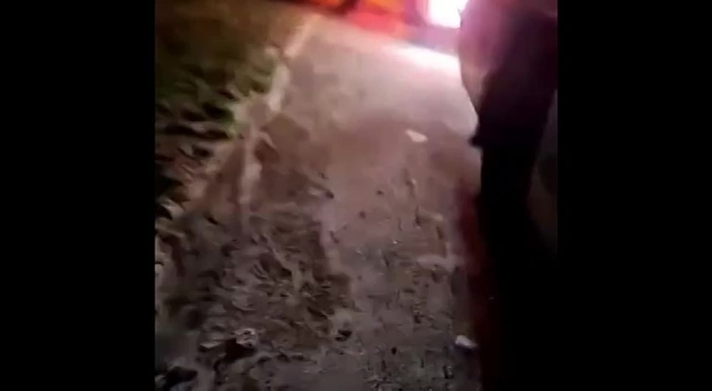 � �������� ������� ��������� ����� ��������