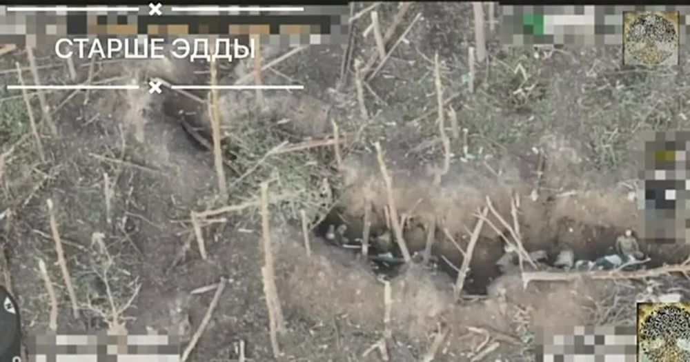 ���� ������� ���� ������ ����� ������ ���: �� ������ ������ ��������������� ��������, ������������ ������� ����� � ���������