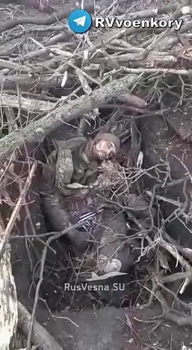 ������� ��� �������� ������� ����� ����� ����� ������