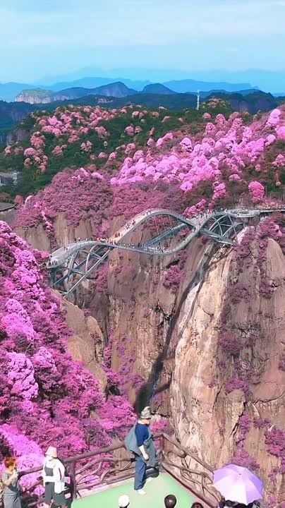 ��� � �������� �� ����� ������, �������� � ���