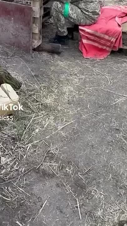 �������� ����� �� ������ ����, ���� ��������� ����� � ������� ��������� ��� ��������� �������