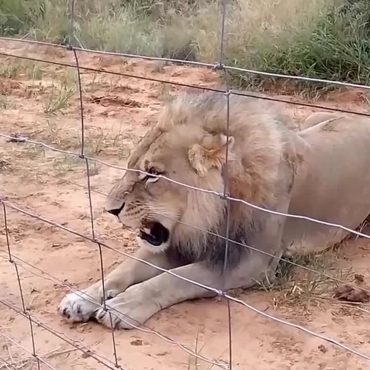 ������ � �����, ��� ����� ���..