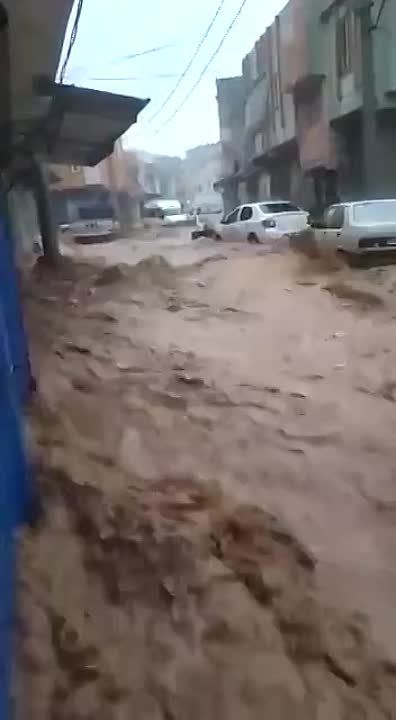 ������ ������� ����������. ��� ��������?