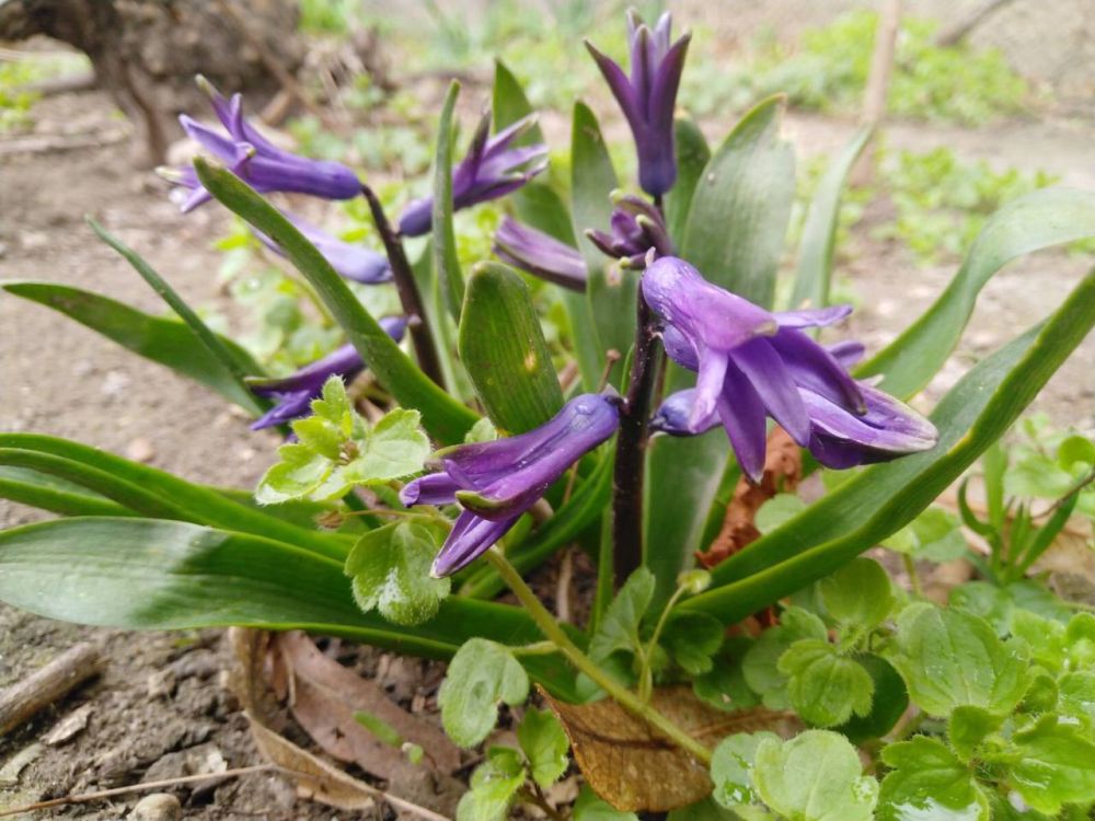 18 ����� ��������� �������� � ������������ ������, ��� ������������ �������, ������� ��������� ����� �� ����� �� � ��