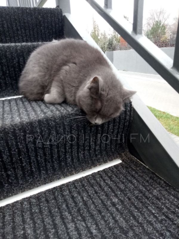 ������� ��� �� ��� ����� ���������� �����