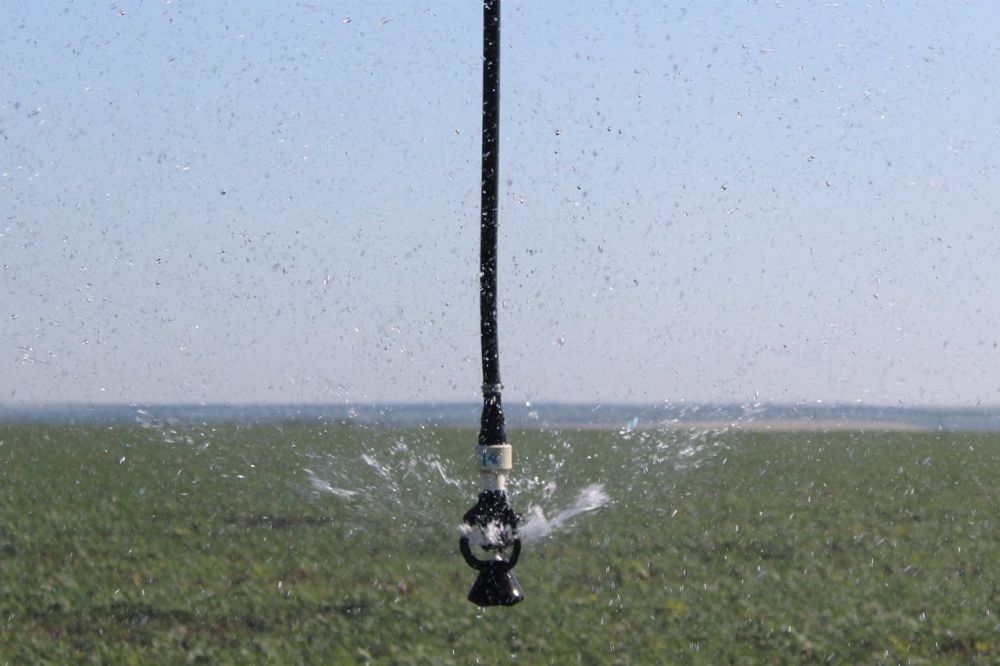 �������� �������� ����������������� ���. ���������� � 2022 �. � ������