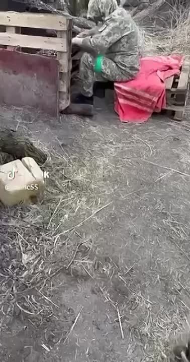 ������ ������� �������� ������� 5 ��� ������ �� ���������� ����������� ��������, ������� ������ �������� �� ������