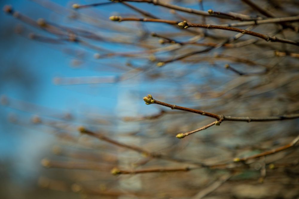 ������������ ���������� ����� � ������������� ��� �� ��������� ������