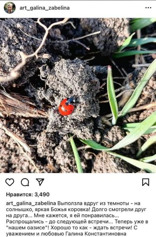 81-������ ������� ������ �� ������ ���������� � ������������� �����, ������� � ������� � ����������� � ���������