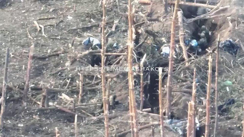 ������ ���������� ��������