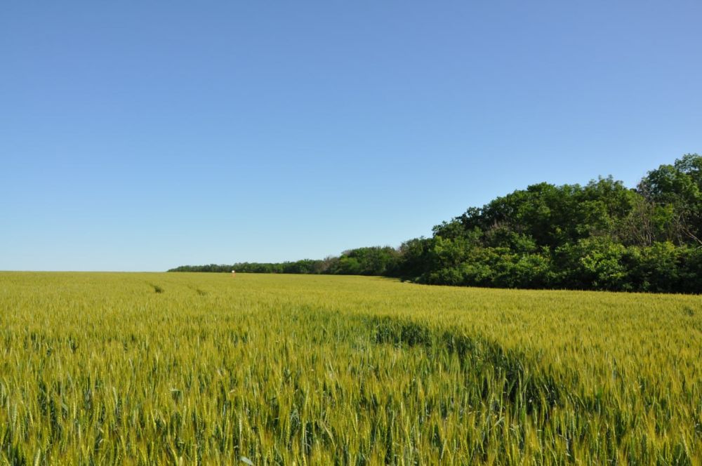 �������� ����������������� ���. ������ �� ���������� ���������� �����