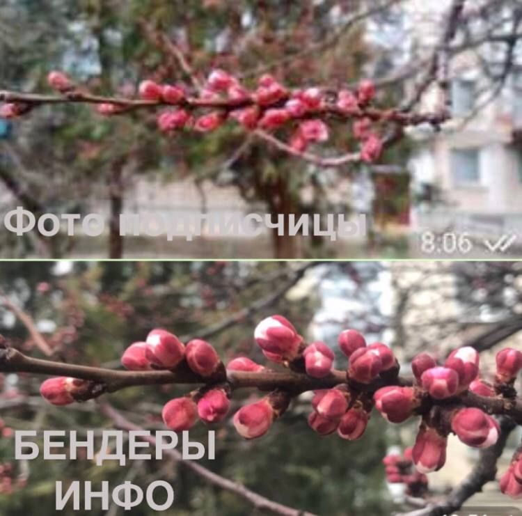 ������� ���� �������. ���������� � ����� ���� (������) ������� �������� ������� ������������� ������ ��������. ���������� � �������� � ������� � ��������� ��������� ����: ��� ���� ���������������, � ��� � � ��������� �����