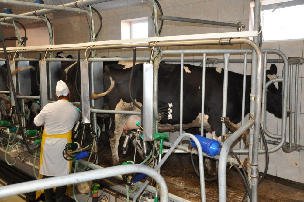 �������� ��������-2022. ��������������