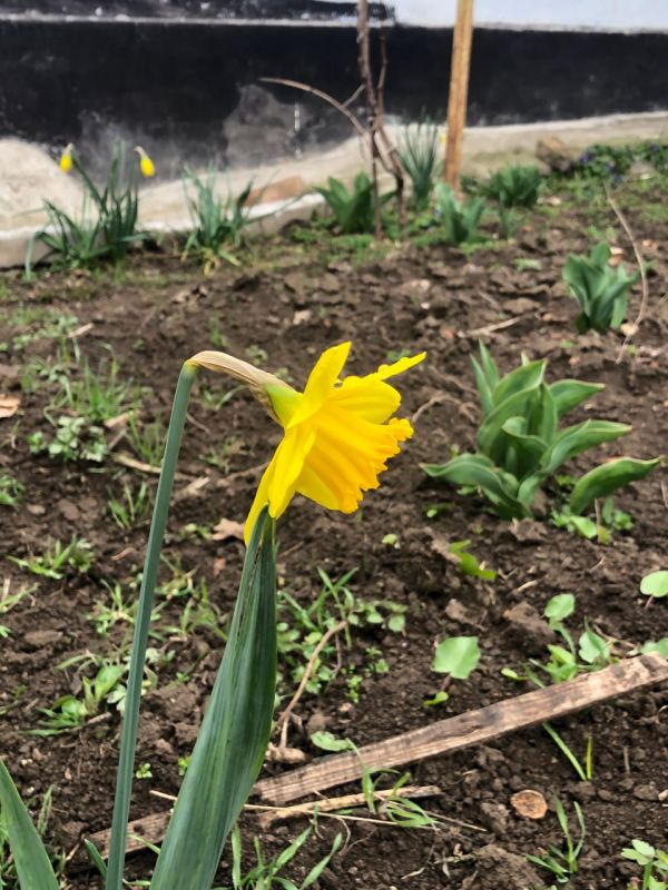 � � ��������� ��� ������� ��������