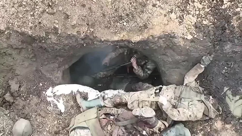 ���� ������� ������� ������� ���� � ����� ����� ��������������� ���� ����������