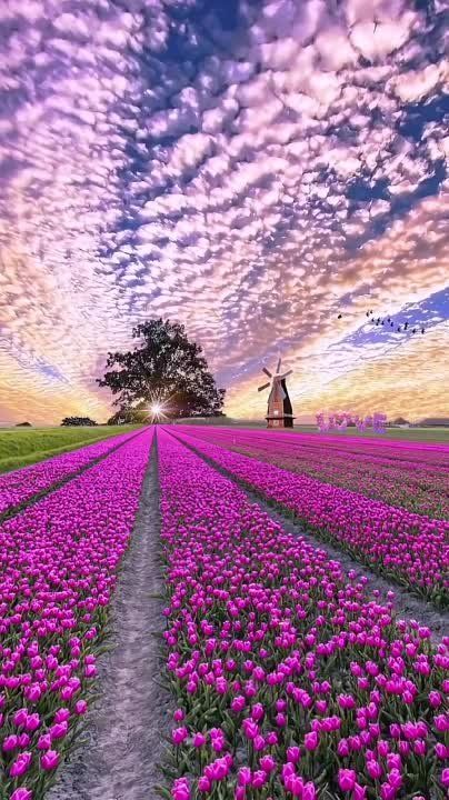 ���� �������� ���! ������ �������� �����!