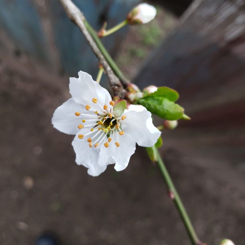 ������ �� �����������!