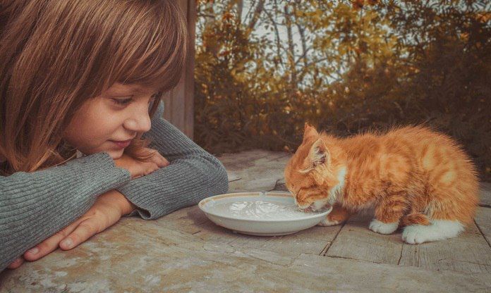 ����������� ������� ����� ��������� ������ ��������? � ������ ��� ����������� ������������� ��� �������� �������� �� ����������