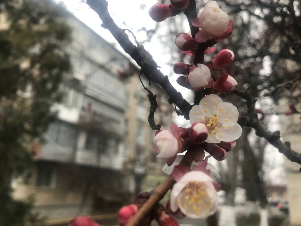 �������... �����! ��� ����� ���� ����������?