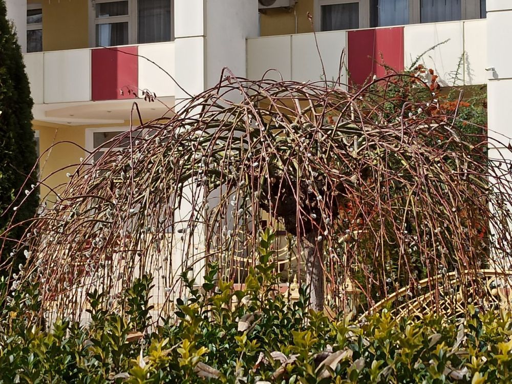 � ��� ���������. ����� ���������!