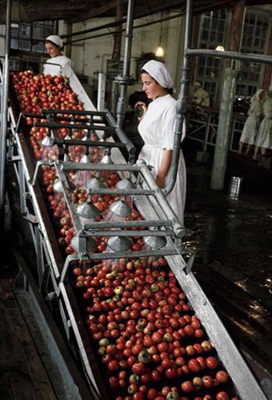 ���������� ����. �������� �� ������������� ���������� ������ ����� 1-�� ���, 1953