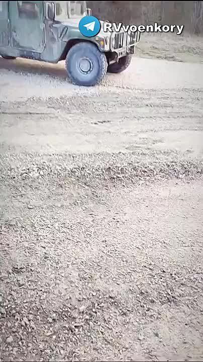 ���� ������������� � ������ �������� ������� ������������ ����: ��� ��� �������� ����������� � �������� �������