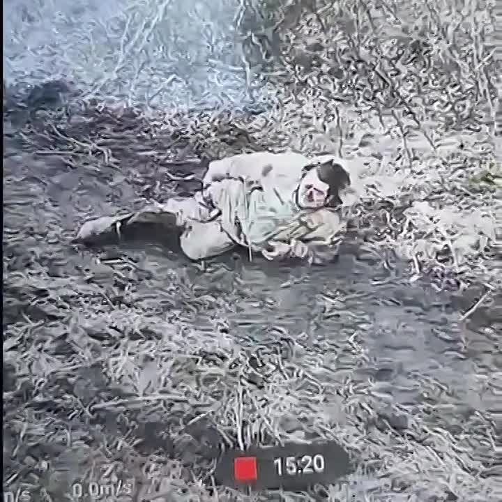 �� ������ ������������� ������ ��� ���������� � ����������� ����� � ������ ���������� ������ ���. � ���� ��� �� ������� ��������� ������� ���� � �� ��� ���������